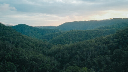View from lookout over rain forest 
