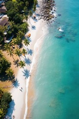 Fototapeta na wymiar Aerial shot of a tropical beach with waves crashing on sandy shore