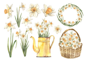 Watercolor set with daffodils, wicker basket, yellow watering can with flowers, wreath. Hand drawn illustrations on isolated background for greeting cards, invitations, happy holidays, posters, design