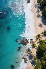 Aerial view of beautiful beach landscape