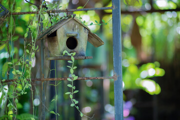 Bird houses are make nests for living.