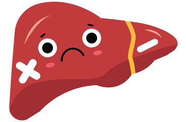 liver, cirrhosis disease. Human liver organ anatomy vector illustration on white background.Stage Of liver Disease Concept,Unhealthy Liver,Cirrhosis Medical Education,sad,red,yellow