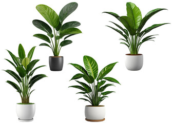 Fototapeta premium 観葉植物のセット.generative AI