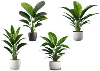 観葉植物のセット.generative AI