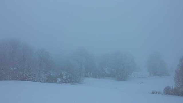 Snowstorm In A Countryside Village Surrounded By Dense Trees. Timelapse