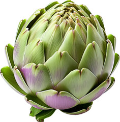 Artichoke isolated on transparent background. PNG