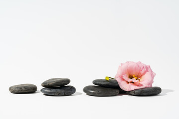 Obraz na płótnie Canvas Stacked black spa stones with flowers on white background