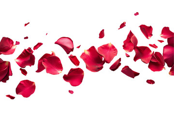 Romantic Red Rose Petals Falling in a Celebration of Love and Nature, Perfect for Wedding Decorations