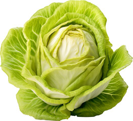 Fototapeta premium Cabbage on transparent background. PNG