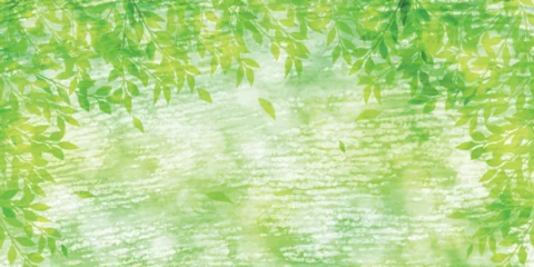 Fotobehang 新緑　葉　風景　背景 © KUU