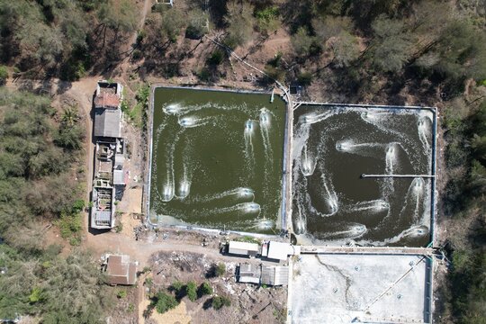 aerial view of shrimp ponds on the beach. tambak Udang.