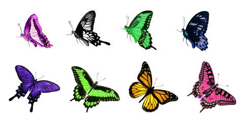 set of butterflies on transparent background