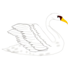 Swan painting -  Swan Illustration