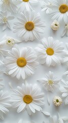 A bunch of white flowers on a white surface