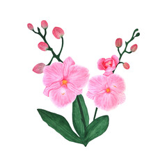 Watercolor orchid branch. Flowers on a white background for printing on textiles, cards and invitations.