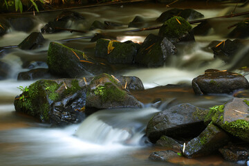 Small waterfall in the Brazilian rainforest