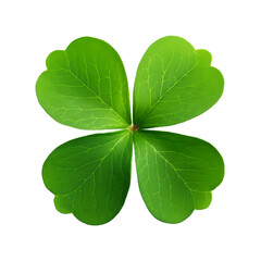 A single four-leaf clover isolated on a transparant background