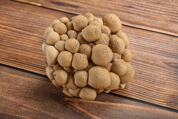 Raw asiam delicacy mushroom Shimeji