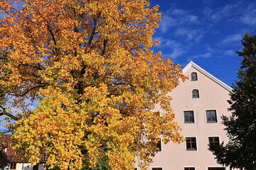 Blick in die Altstadt von Dingolfing in Bayern