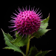 Burdock Flower Realistic AI Generated pictures