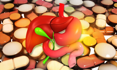 Human digestive system anatomy on pills background. 3d illustration..