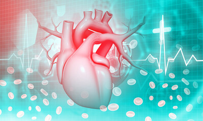 Human heart anatomy on abstract medical background. 3d illustration.