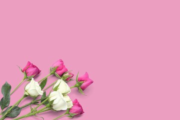 Fototapeta na wymiar romantic valentine concept Top view photo roses on pink background
