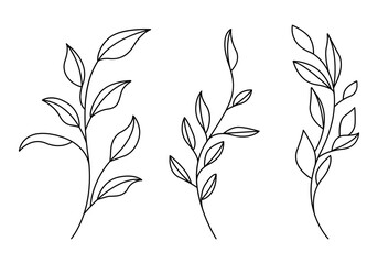 Set of Plants with Leaves Line Art Drawing. Simple Vector Botanical Illustration. Trendy Greenery Outline Hand Drawn Sketches Collection. Floral Design for Social Media, Vegan and Cosmetic Logo, Tatto - obrazy, fototapety, plakaty