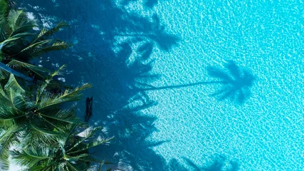Crédence de cuisine en verre imprimé Turquoise Summer palm tree  and Tropical beach with blue  of seashore background