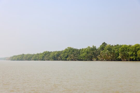 Sundarbans National Park is a large coastal mangrove forest, shared by India and Bangladesh. this photo was taken from Bangladesh.