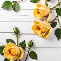Three Yellow rose flowers over white wood background. Romantic greeting card for Valentine's Day.