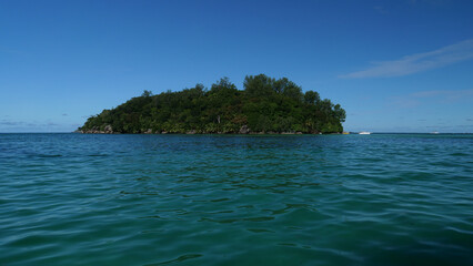 Fototapeta premium paisajes animales viajes