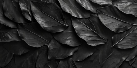 Abstract black leaves forming a textured pattern.