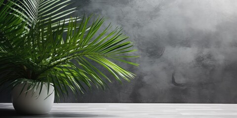 Tropical palm leaves' shadow on gray wall and table top. Summer vibe.