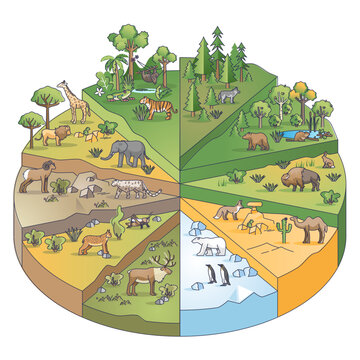 Types of habitats and various ecosystems collection in pie outline diagram, transparent background. Nature and climate division with different scenery, flora and fauna illustration.