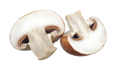 Fototapeta premium Champignon mushroom isolated on white background