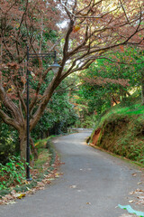 Park_29