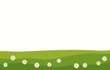 Green grass and daisy chamomile flower vector illustration.
