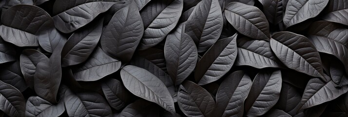 Abstract black tropical leaf textures for dark nature concept, perfect for tropical leaf background.