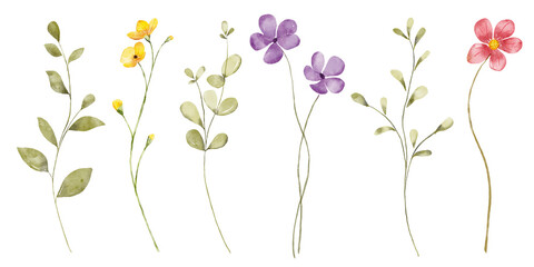 Obraz na płótnie Canvas Flowers, leaves set, watercolor hand drawing, digital botanical illustration. Floral banner border. 