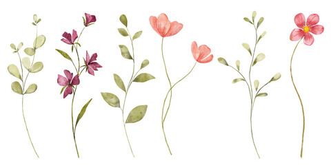 Flowers, leaves set, watercolor hand drawing, digital botanical illustration. Floral banner border.	