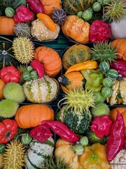 A mix of autumn gourds and vegetables