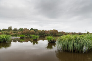Wetland in Briere Regional Natural Park on a cloudy day in summer