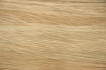 Naklejka premium Stretch film on a pack of cardboard