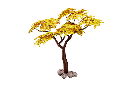 Tree on transparent background, real tree yellow leaf isolate die cut transparent background
