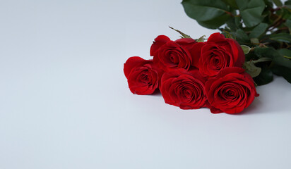 A bouquet of red roses on white background