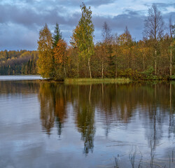 Fototapeta na wymiar Forest landscape and lake in the northern regions of Russia in late autumn.