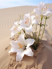 Obraz na płótnie Canvas Wildflower Wind-Swept Wonders: Beachy Sand Dune Craft Inspires Exquisite Nature-Inspired Artistry