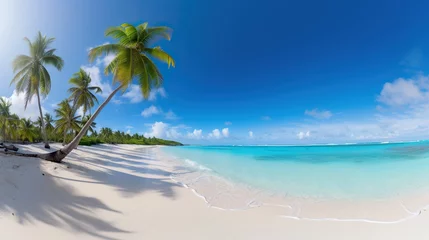  beach views with coconut trees, bright blue skies, stunning tropical beach views. Clear white sand beach on a summer day. © elli_