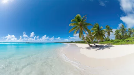  beach views with coconut trees, bright blue skies, stunning tropical beach views. Clear white sand beach on a summer day. © elli_